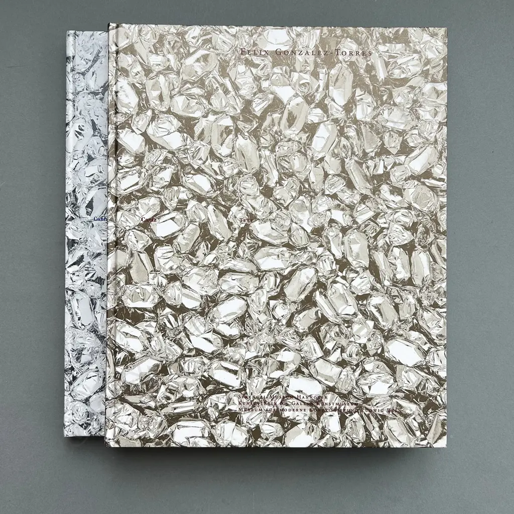 FELIX GONZALEZ-TORRES: TEXT CATALOGUE RAISONNE, 2 VOLUMES. 1ST EDITION Image 1++